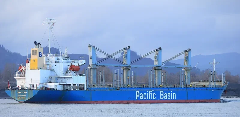 TAMPA BAY Bulk Carrier IMO 9325104 photo 6