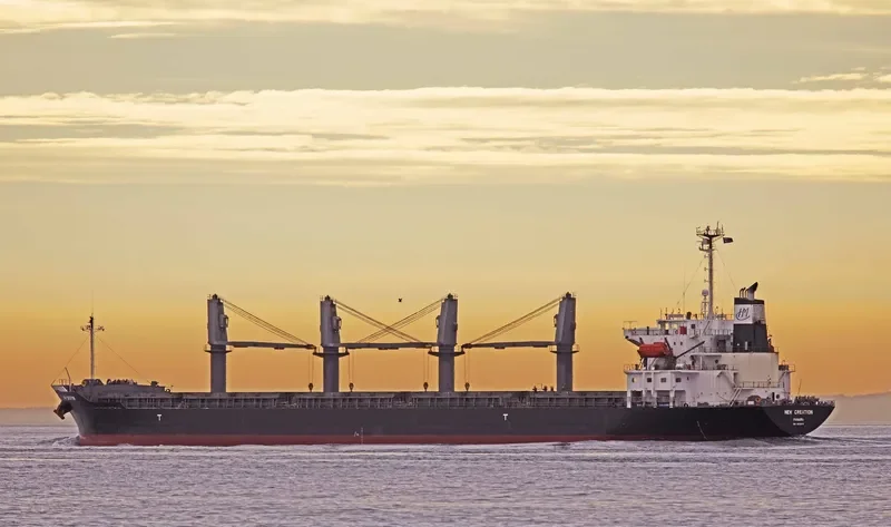 GRACE Bulk Carrier IMO 9325116 photo 3