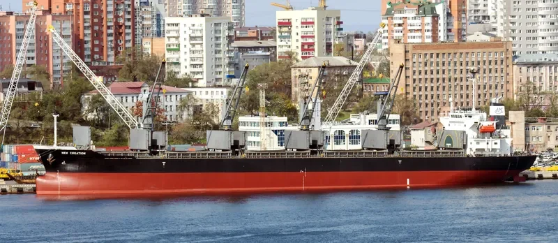 GRACE Bulk Carrier IMO 9325116 photo 5