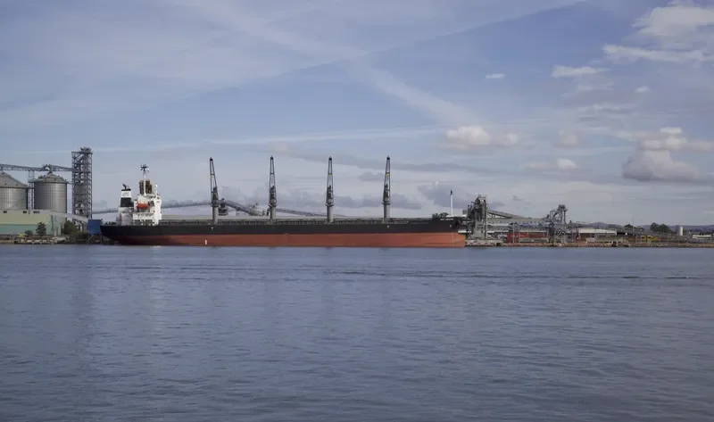 GRACE Bulk Carrier IMO 9325116 photo 6