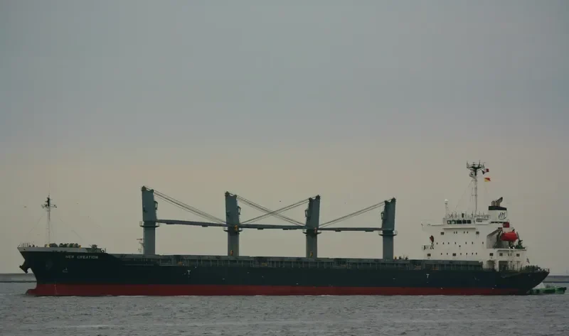 GRACE Bulk Carrier IMO 9325116 photo 7