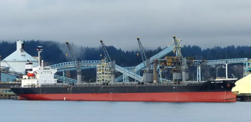GRACE Bulk Carrier IMO 9325116 photo 8