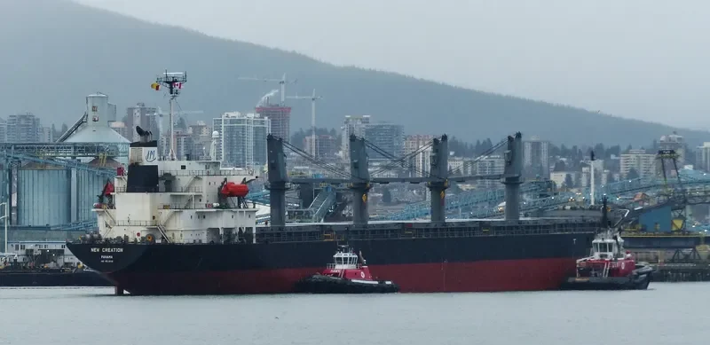 GRACE Bulk Carrier IMO 9325116 photo 9