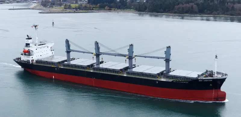 GRACE Bulk Carrier IMO 9325116 photo 10