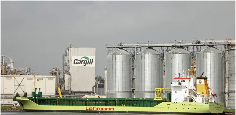 LISA LEHMANN General Cargo IMO 9325130 photo 7