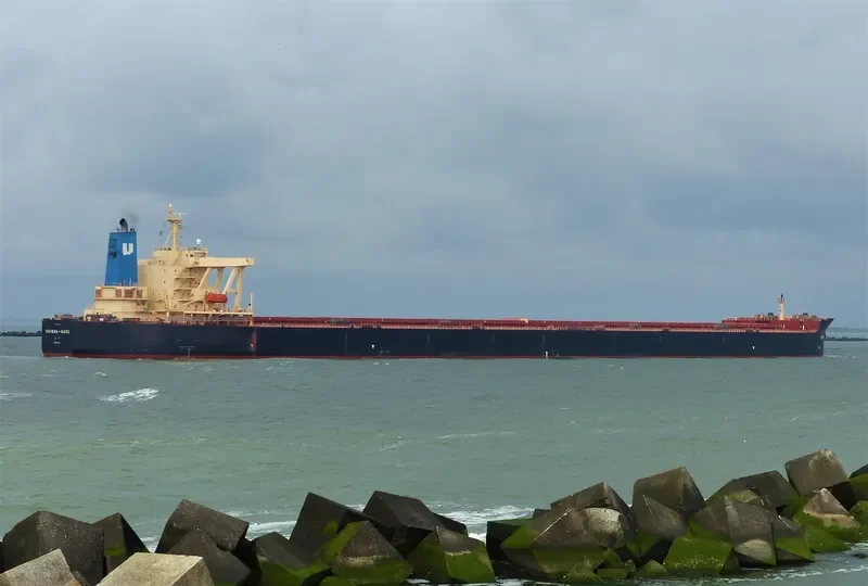 SHINWA MARU Bulk Carrier IMO 9325295 photo 5