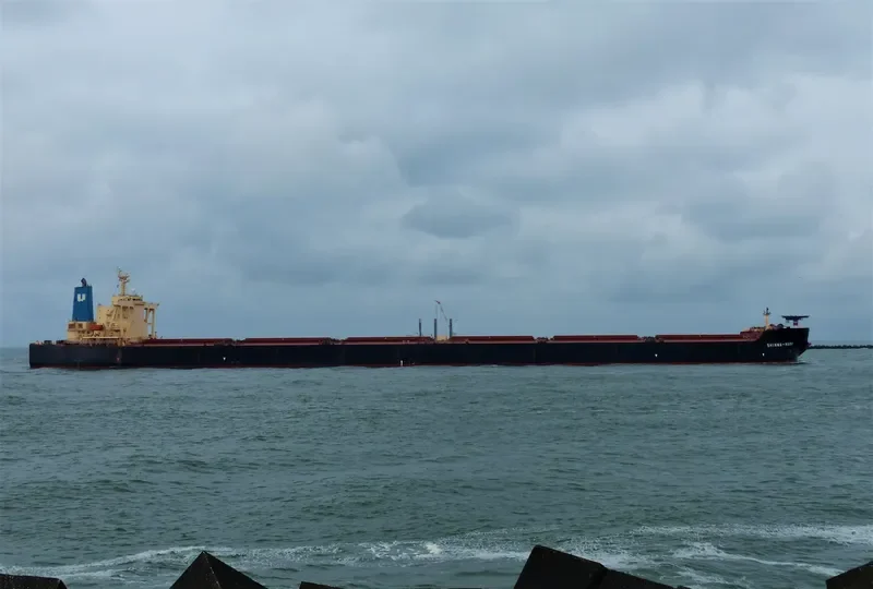 SHINWA MARU Bulk Carrier IMO 9325295 photo 6