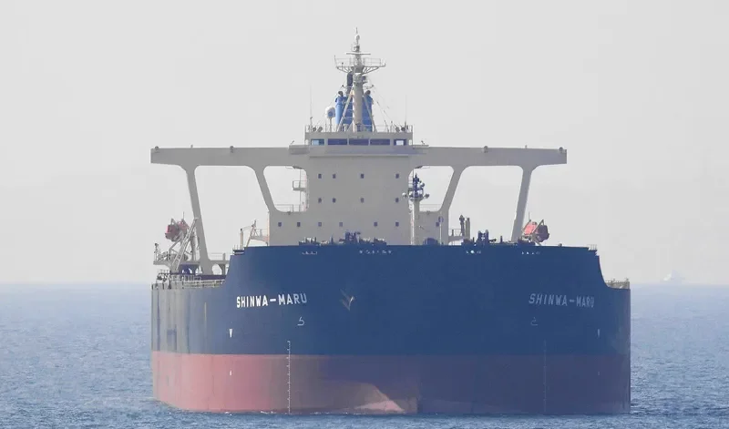 SHINWA MARU Bulk Carrier IMO 9325295 photo 9