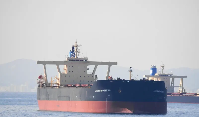 SHINWA MARU Bulk Carrier IMO 9325295 photo 10