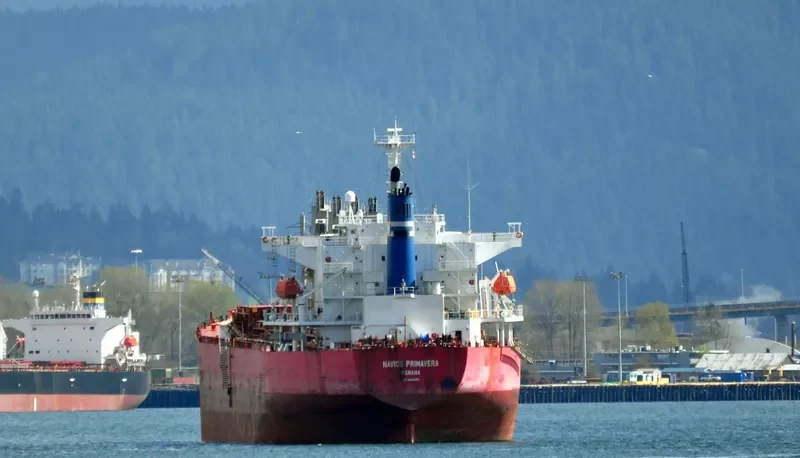 PAULINE Bulk Carrier IMO 9325350 photo 3