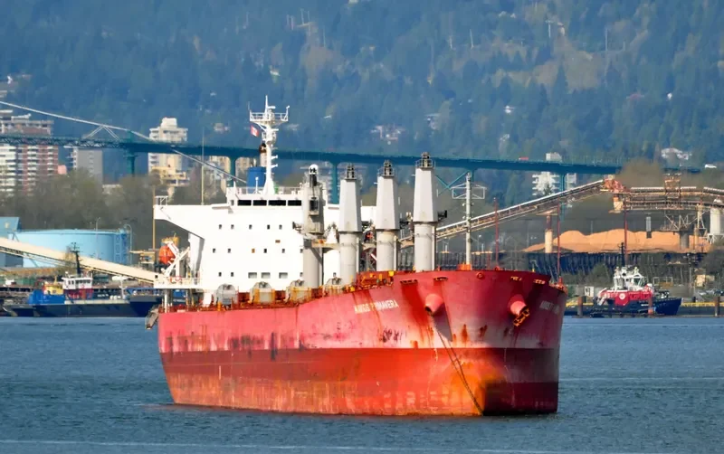 PAULINE Bulk Carrier IMO 9325350 photo 4