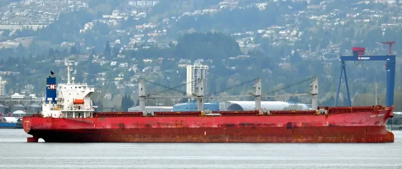 PAULINE Bulk Carrier IMO 9325350 photo 5