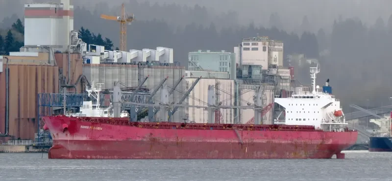 PAULINE Bulk Carrier IMO 9325350 photo 7