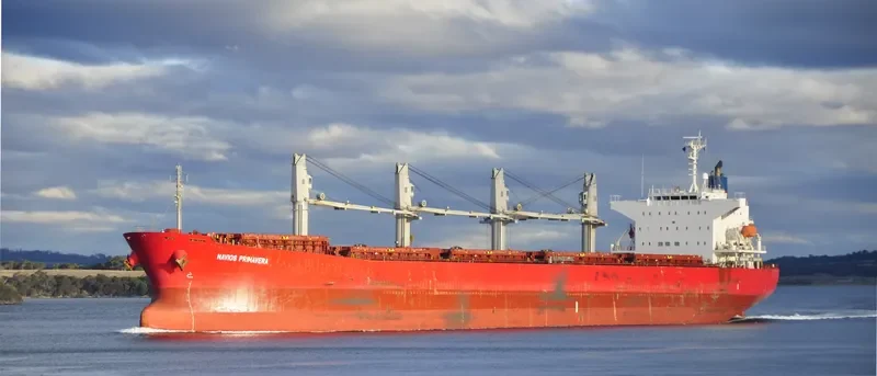 PAULINE Bulk Carrier IMO 9325350 photo 10