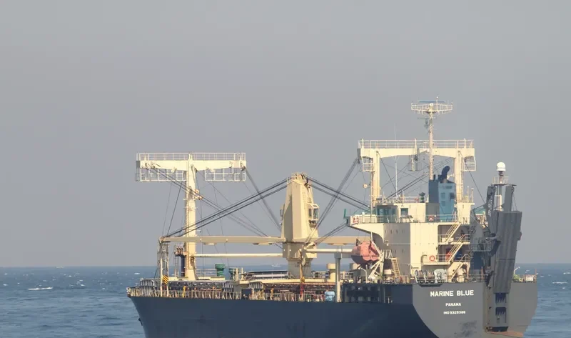 SPRING ARAM General Cargo IMO 9325386 photo 7