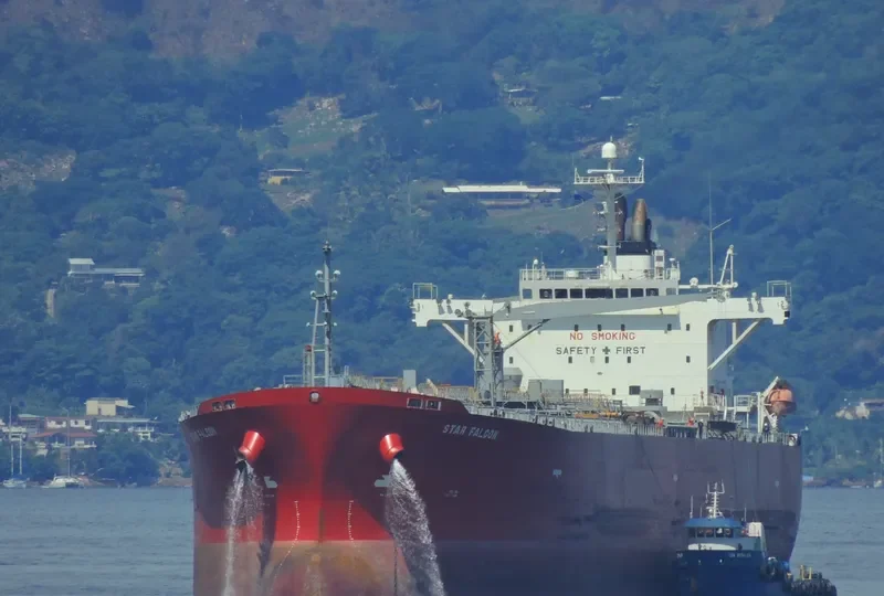 DUMBLEDORE Tanker IMO 9325611 photo 8