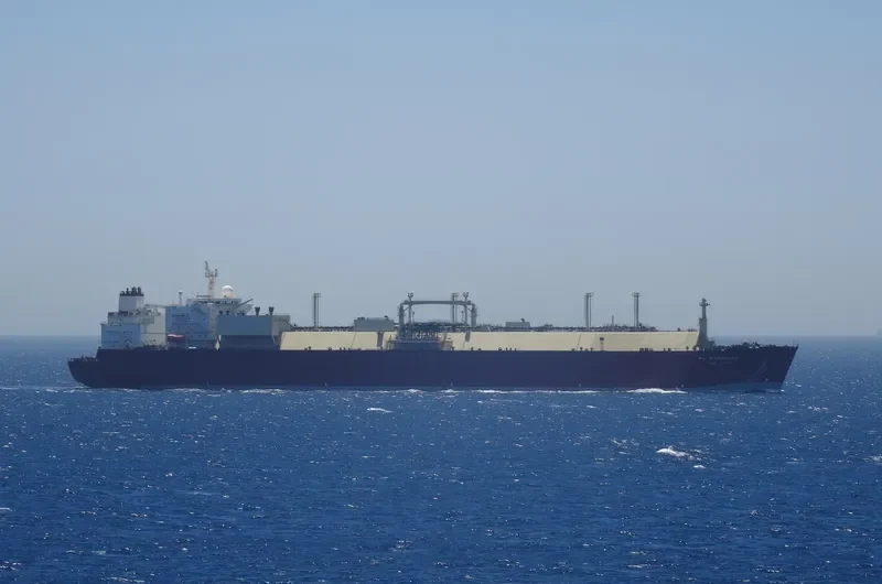 AL MARROUNA General Cargo IMO 9325685 photo 4