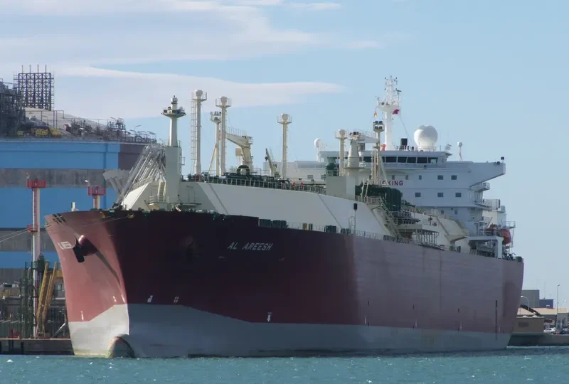 AL AREESH General Cargo IMO 9325697 photo 2