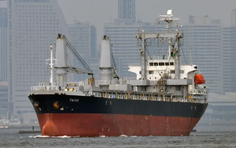 OCEAN PEACE 8 General Cargo IMO 9325726 photo 2