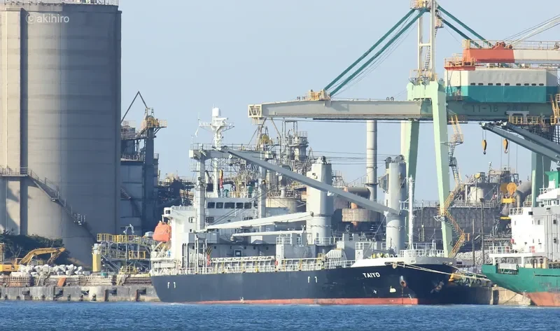OCEAN PEACE 8 General Cargo IMO 9325726 photo 3