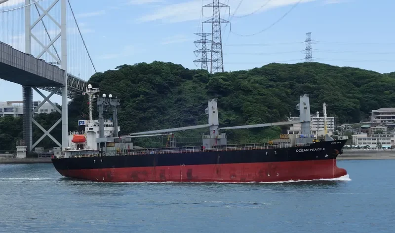 OCEAN PEACE 8 General Cargo IMO 9325726 photo 5