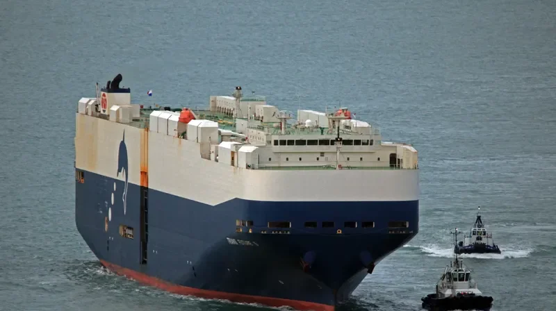 TRANS FUTURE 5 General Cargo IMO 9326079 photo 9