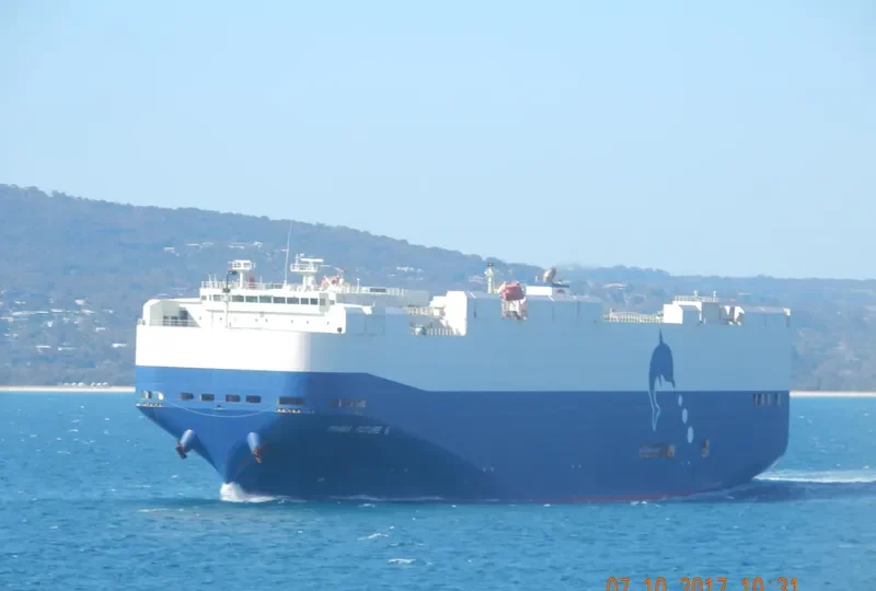 TRANS FUTURE 6 General Cargo IMO 9326081 photo 2