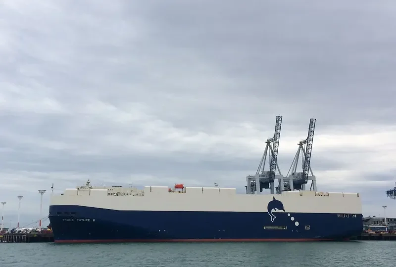 TRANS FUTURE 6 General Cargo IMO 9326081 photo 10