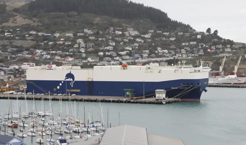 TRANS FUTURE 7 General Cargo IMO 9326093 photo 4