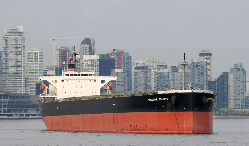 ZHONG LIAN 86 Bulk Carrier IMO 9326122 photo 2