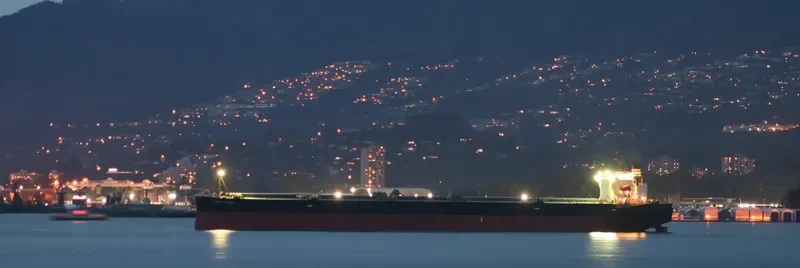 ZHONG LIAN 86 Bulk Carrier IMO 9326122 photo 4