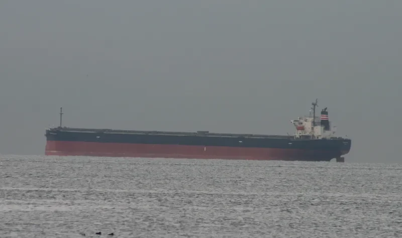 ZHONG LIAN 86 Bulk Carrier IMO 9326122 photo 5