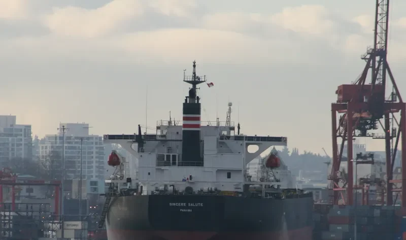 ZHONG LIAN 86 Bulk Carrier IMO 9326122 photo 7