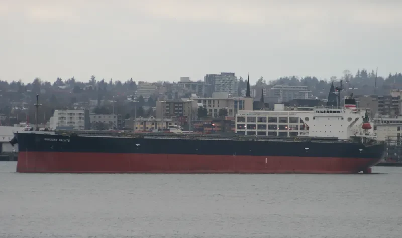 ZHONG LIAN 86 Bulk Carrier IMO 9326122 photo 8
