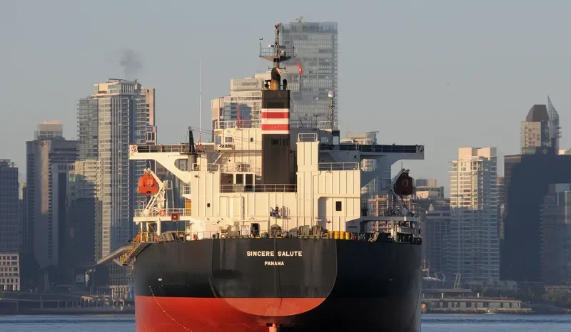 ZHONG LIAN 86 Bulk Carrier IMO 9326122 photo 10