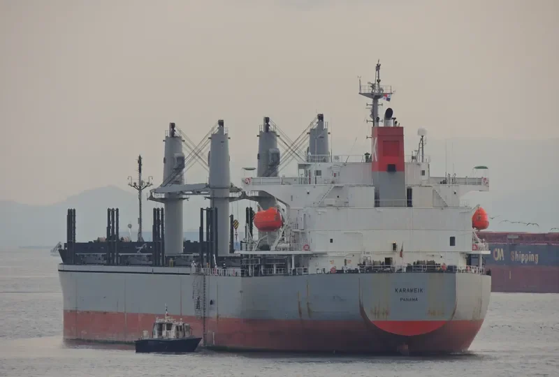THOR FUTURE Bulk Carrier IMO 9326146 photo 5