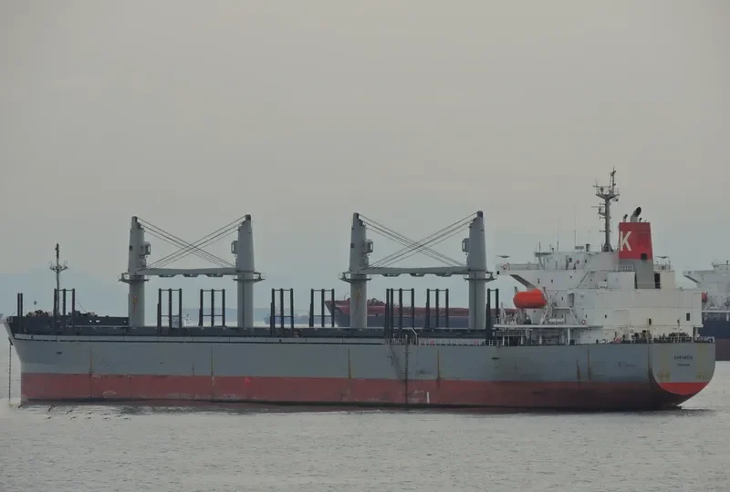 THOR FUTURE Bulk Carrier IMO 9326146 photo 6