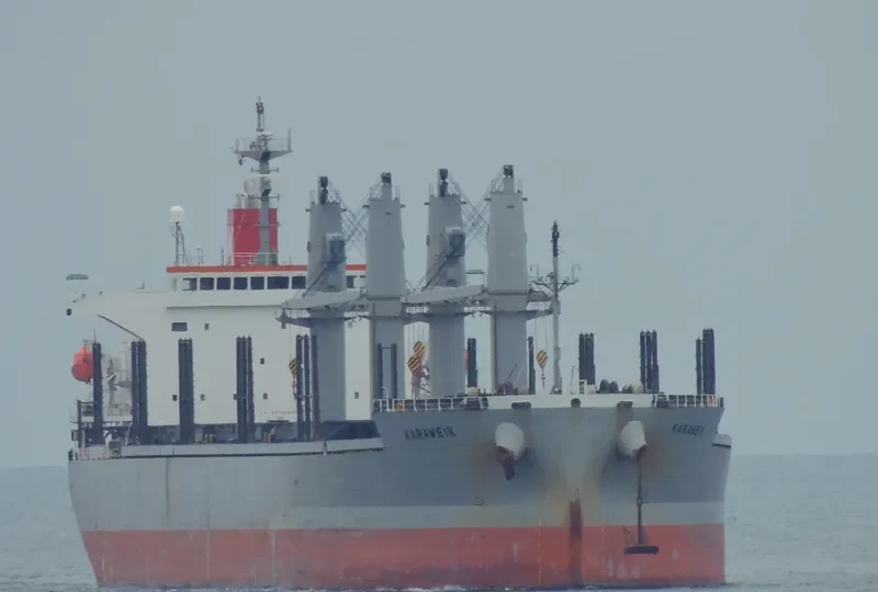 THOR FUTURE Bulk Carrier IMO 9326146 photo 8