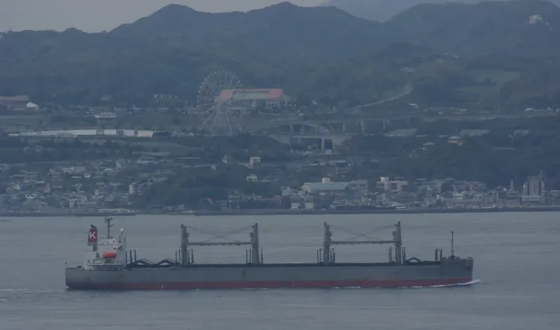 THOR FUTURE Bulk Carrier IMO 9326146 photo 9
