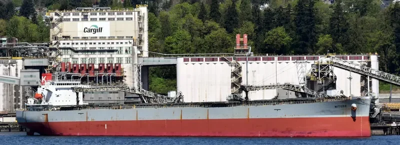 MITOSE Bulk Carrier IMO 9326158 photo 5