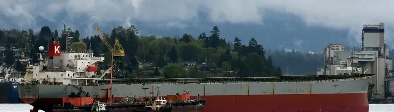 MITOSE Bulk Carrier IMO 9326158 photo 6