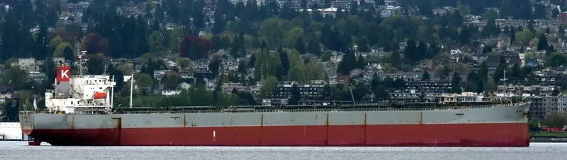 MITOSE Bulk Carrier IMO 9326158 photo 7