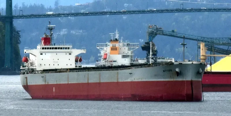 MITOSE Bulk Carrier IMO 9326158 photo 8