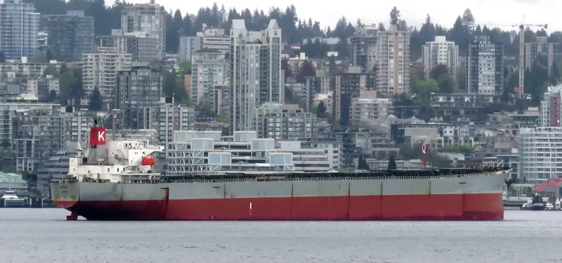 MITOSE Bulk Carrier IMO 9326158 photo 9