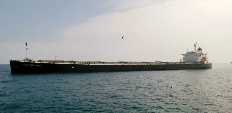 YUTAI AMBITIONS Bulk Carrier IMO 9326160