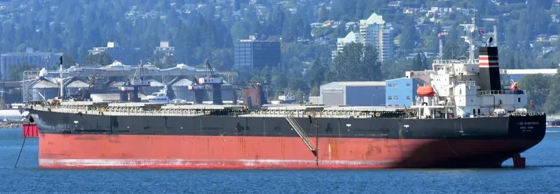 YUTAI AMBITIONS Bulk Carrier IMO 9326160 photo 4