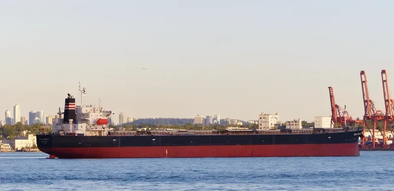 YUTAI AMBITIONS Bulk Carrier IMO 9326160 photo 6