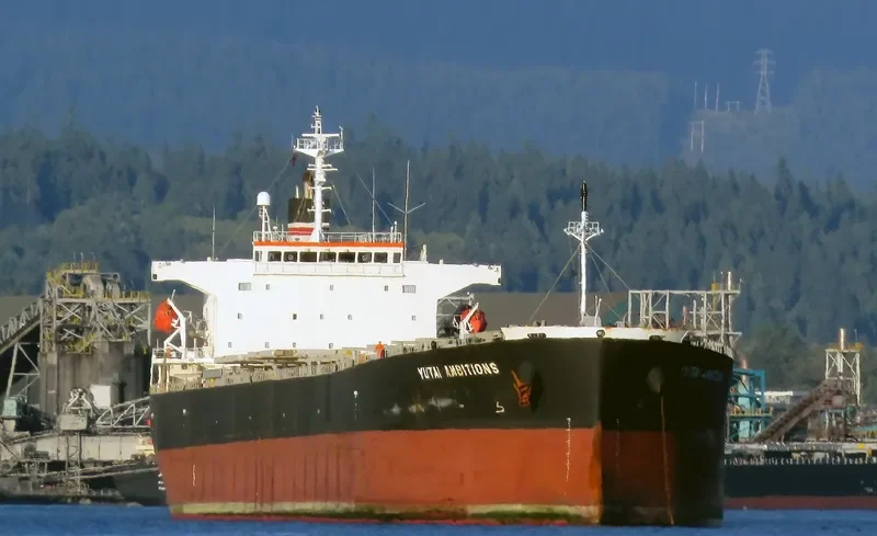 YUTAI AMBITIONS Bulk Carrier IMO 9326160 photo 8