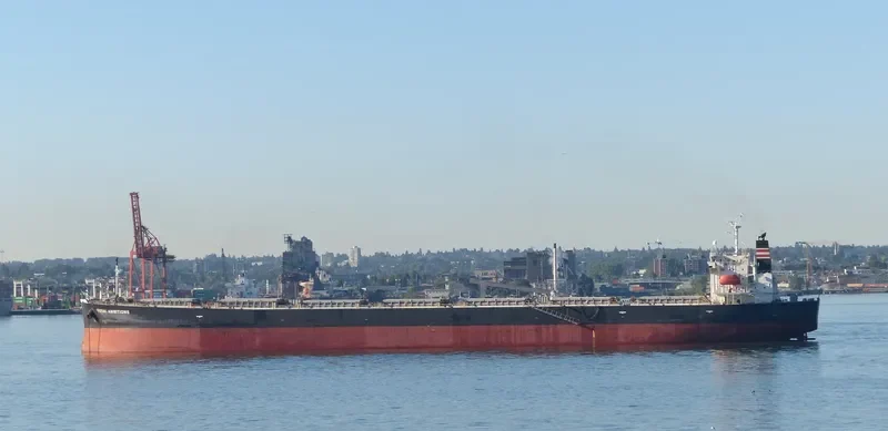 YUTAI AMBITIONS Bulk Carrier IMO 9326160 photo 9
