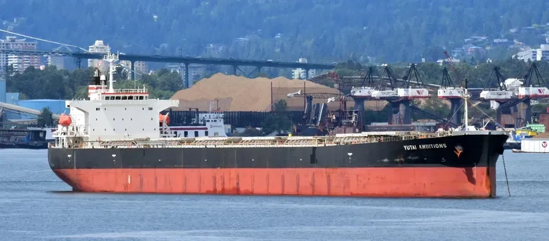 YUTAI AMBITIONS Bulk Carrier IMO 9326160 photo 10